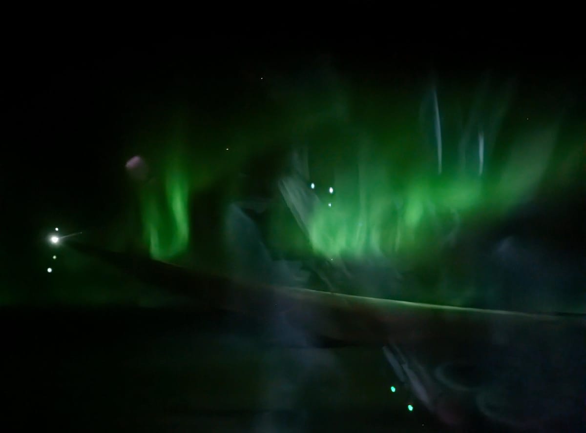 I'm Going To Talk About Wolves